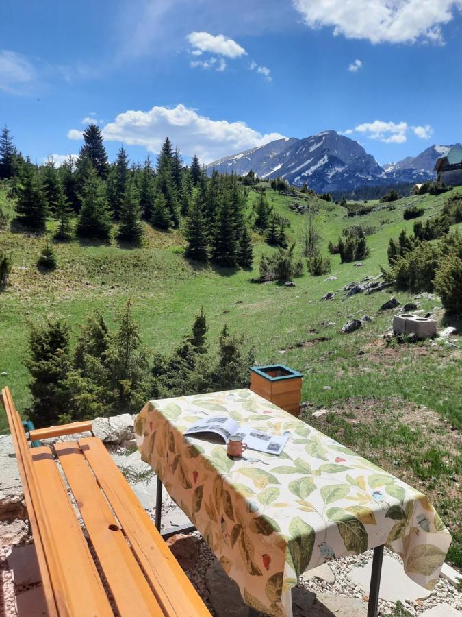 Apartmani 1490 Žabljak Exteriér fotografie